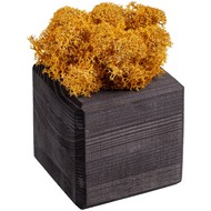 Декоративная композиция GreenBox Black Cube, желтый